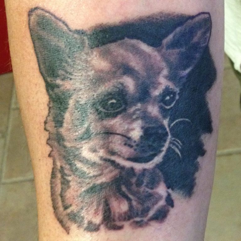 Snake  Tattoo colour