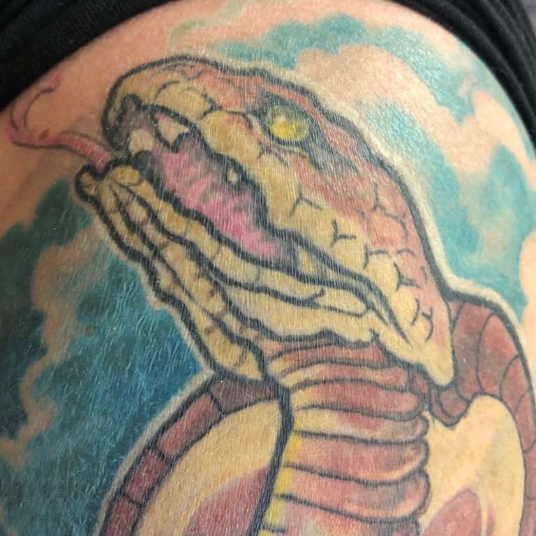 Snake  Tattoo colour